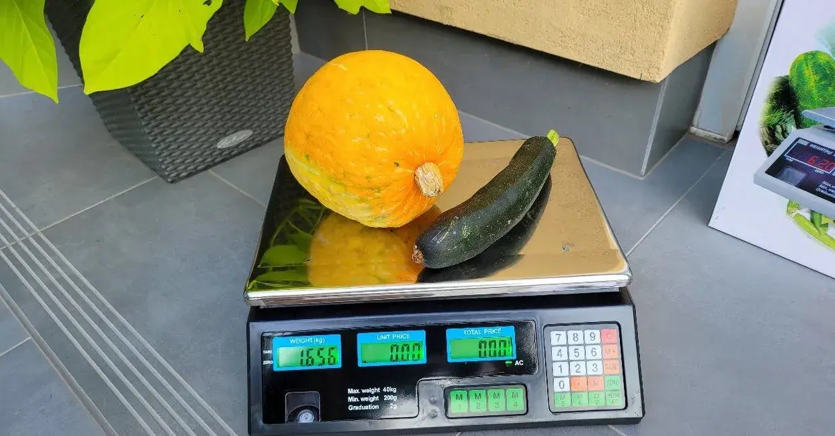 Digitální stolní váha ACS do 40 kg dílek 2g, počítání cen