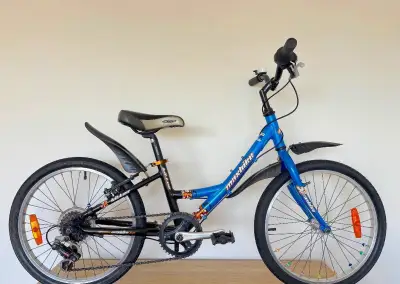 Dětské kolo MAXBIKE 20"