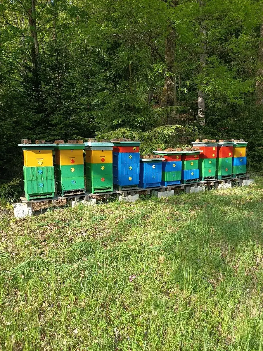 Včely - zavedené stanoviště včetně 8 včelstev, Kamenice n/L