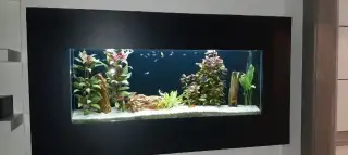 Akvarium na stěnu