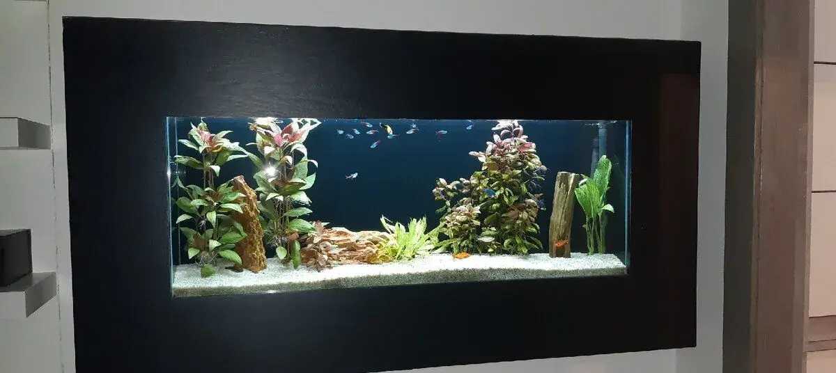 Akvarium na stěnu