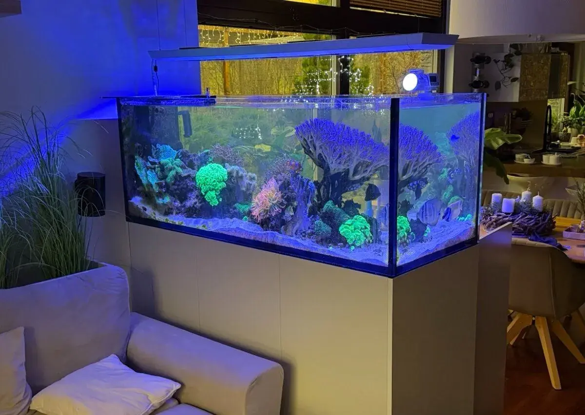 NADSTANDARDNĚ VYBAVENÉ MOŘSKÉ AKVÁRIUM RED SEA REEFER