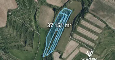 Spekulační - komerční a ostatní 37 151 m²