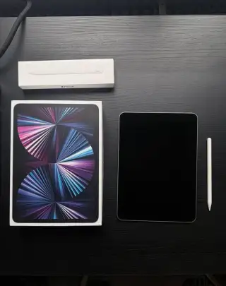 iPad Pro 11" M1 (2021) 256GB + Apple Pencil 2