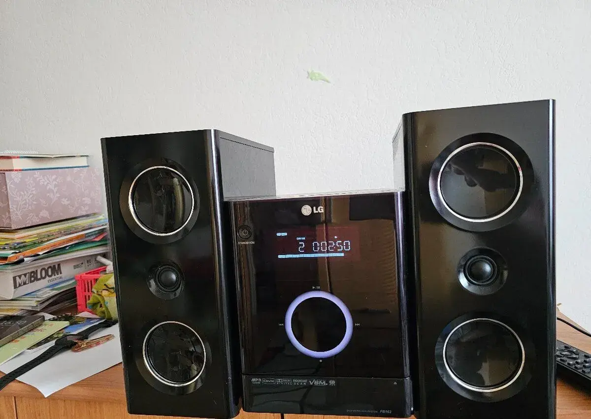 Hi-Fi system s DVD LG FB163 2x80W