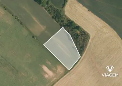 Pole 9 766 m²