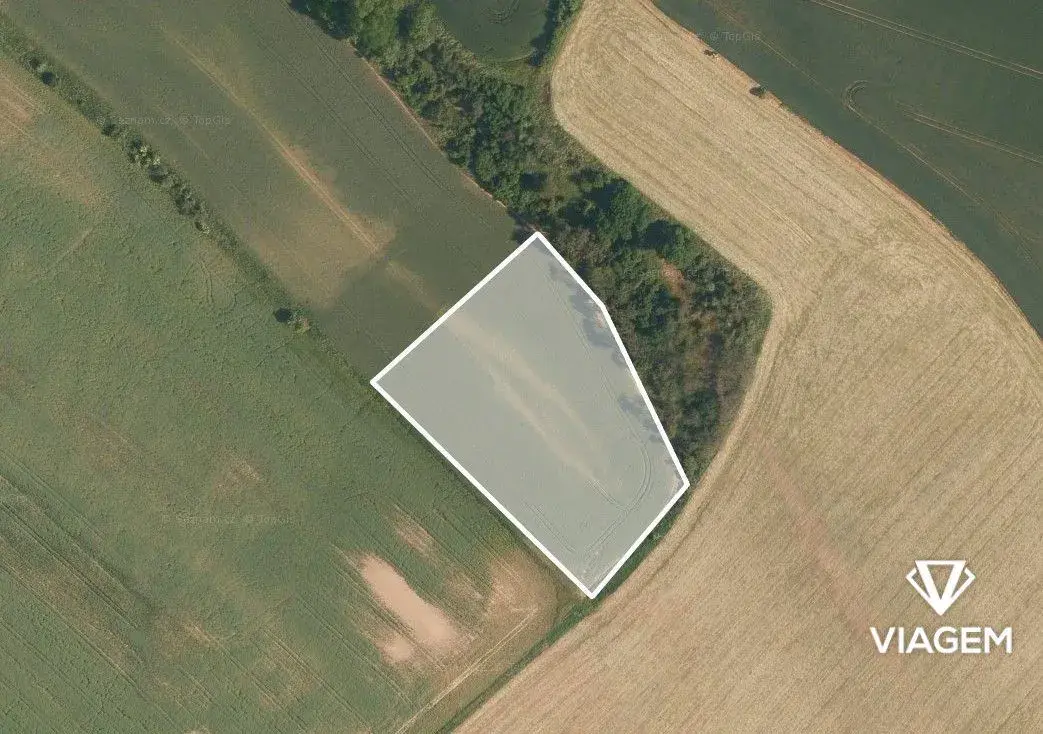 Pole 9 766 m²