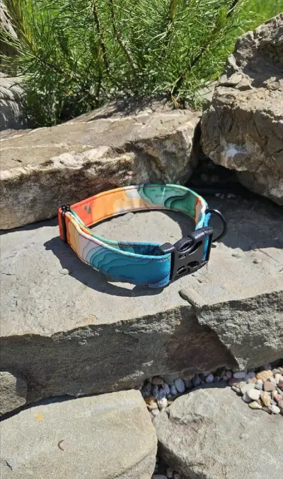 Originální designový obojek pro pejska