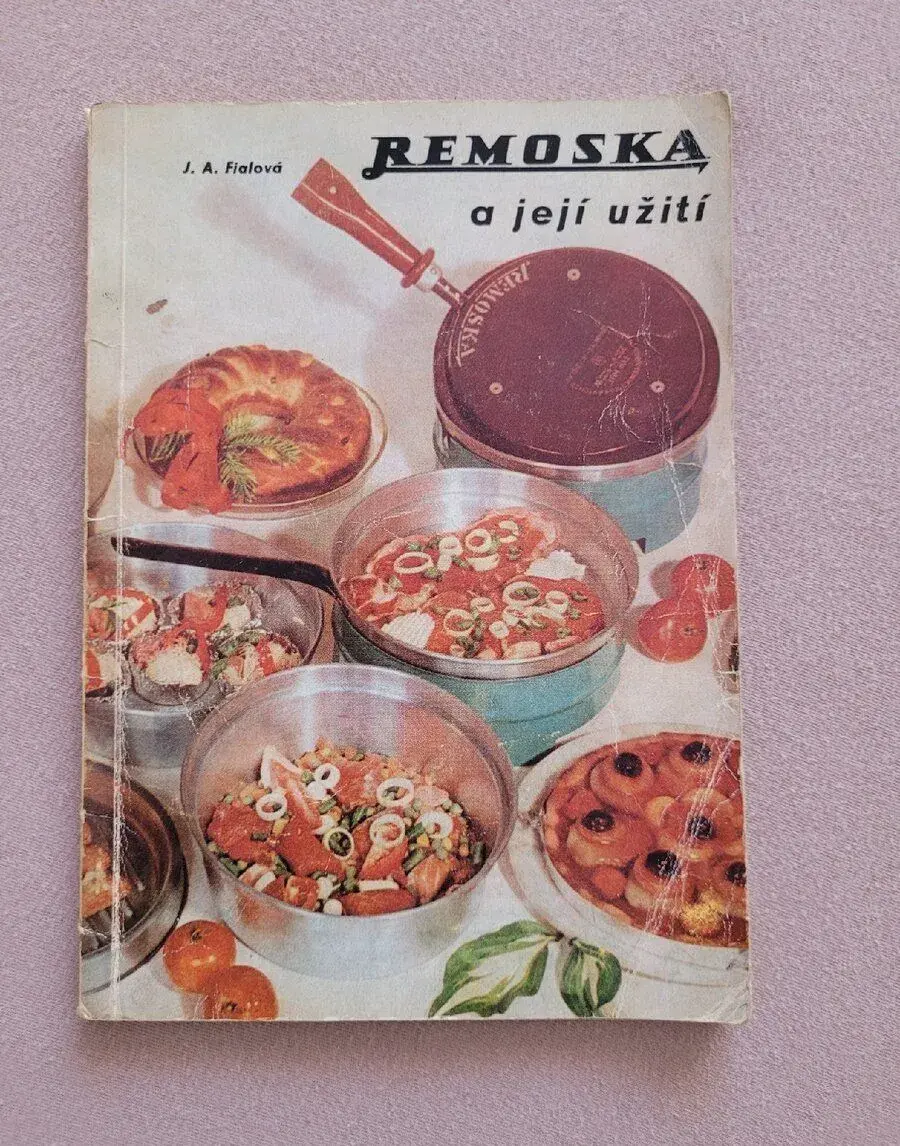 Juliana Anna Fialová: Remoska a její užití
