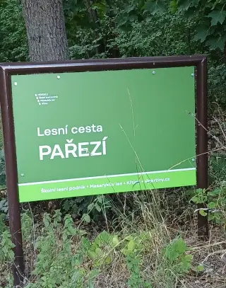 Pronajem zahrady oblast Pařezí, od Lesne 2 zastavky busem