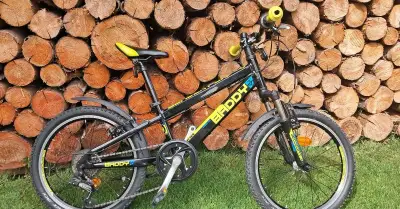 Dětské kolo LEADER FOX - BADDY 20"