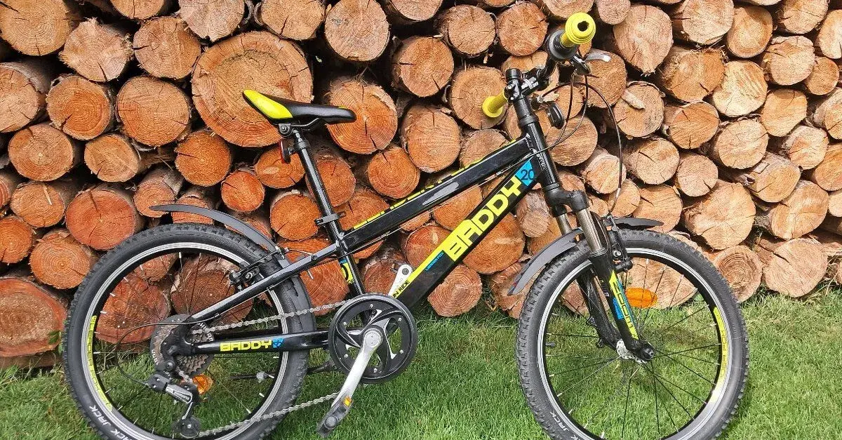 Dětské kolo LEADER FOX - BADDY 20"
