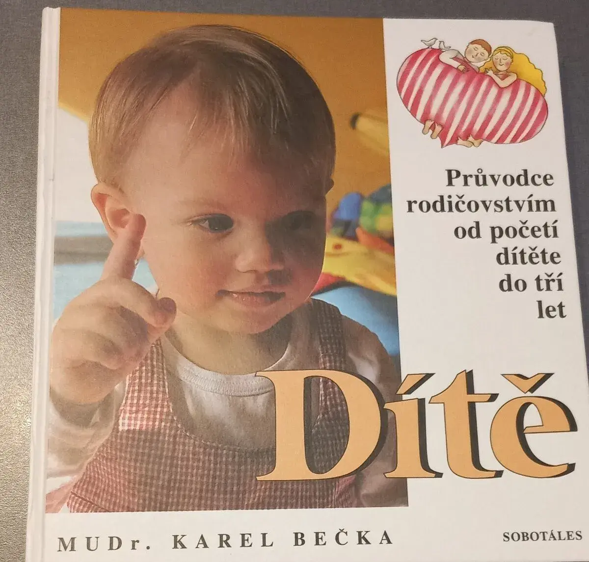 Dítě: Průvodce rodičovstvím od početí dítěte do tří let