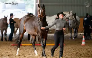 Appaloosa klisna 7 let