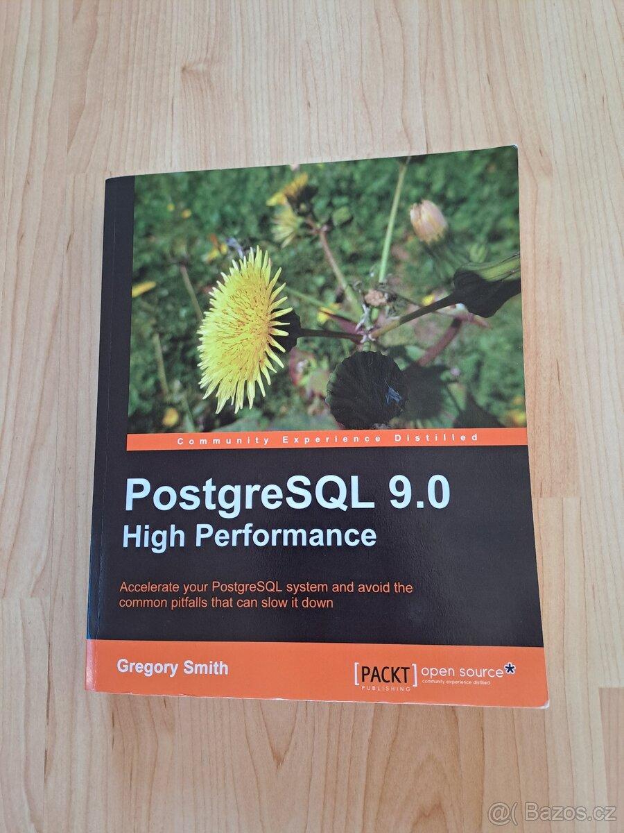 PostgreSQL 9.0 High Performance