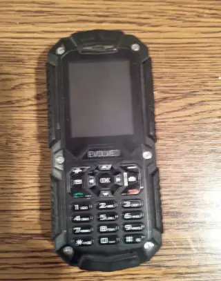 Evolveo