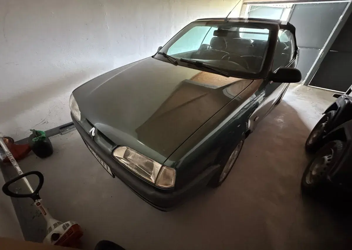 Renault 19 – 1995, 188 000 km