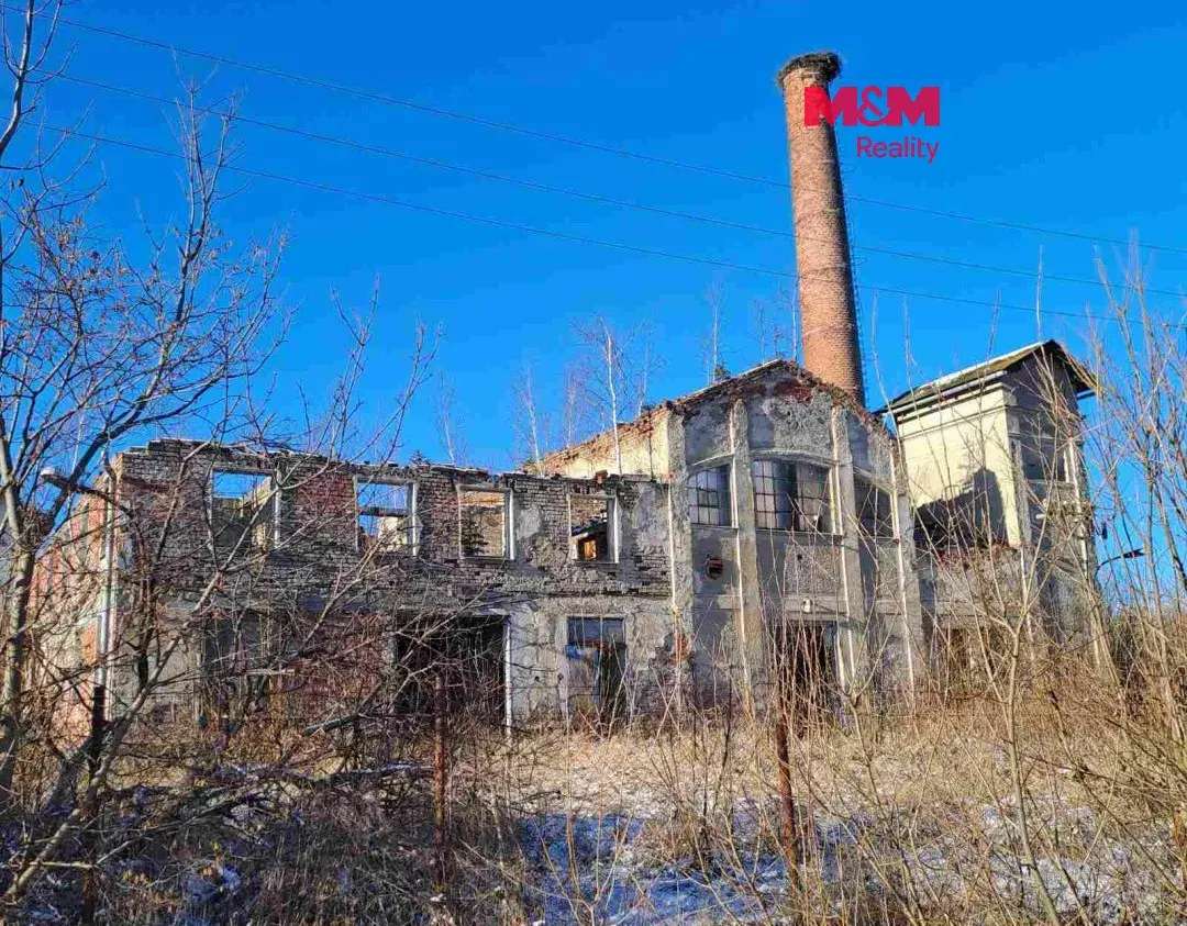 Prodej výrobního objektu, pozemky 12473 m², Ryžoviště