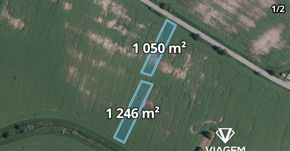 Pole 10 785 m², Podíl 11 % o výměře 1 198 m²