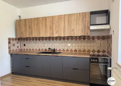 Pronájem bytu 1+1, 44 m², Frýdek-Místek – H. Salichové