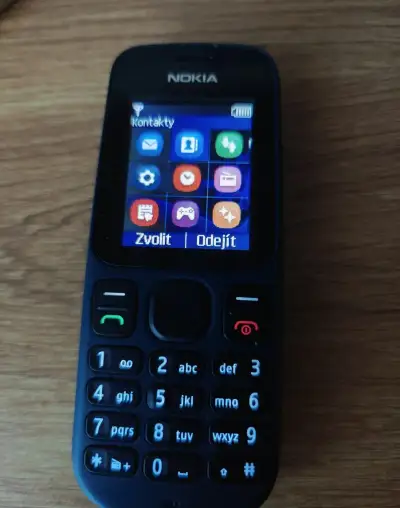 Nokia 100