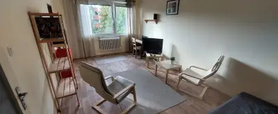 Pronájem vybaveného bytu 1+1, 34m2 + sklep