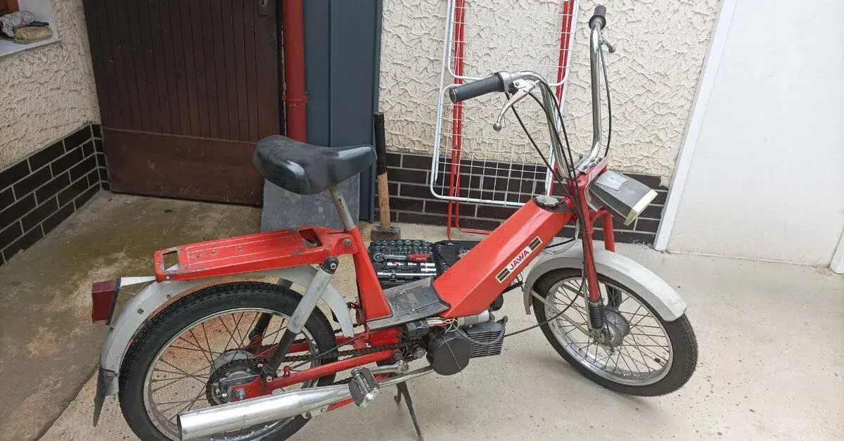 Babeta 207