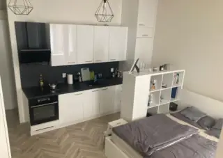 Pronájem bytu 1+kk, Vlhká, Zábrdovice, 14 500 Kč/měs, 27 m2