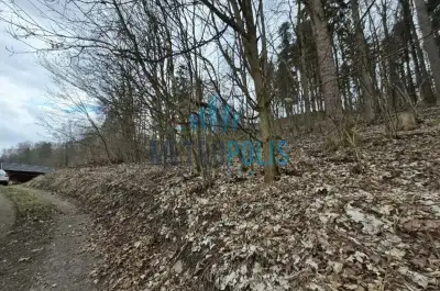 Vlastní les jen pár kroků od centra Semil (1 939 m²)