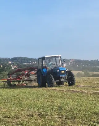 Pronájem louky