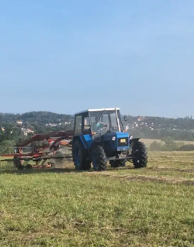 Pronájem louky