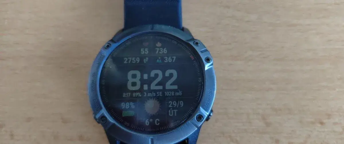Garmin 6X Sapphire Titanium