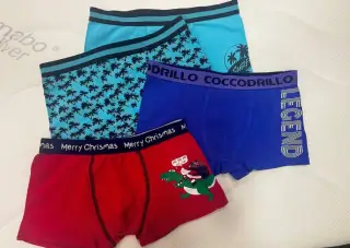 Boxerky coccodrillo 4x