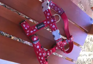Krásný přístroj Red Dingo
