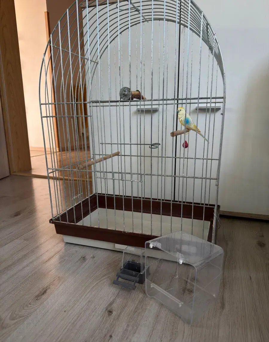 Klec pro papouška