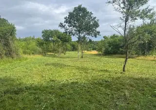 Pronájem zahrady Chlumec nad Cidlinou
