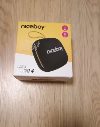 niceboy raze mini 4