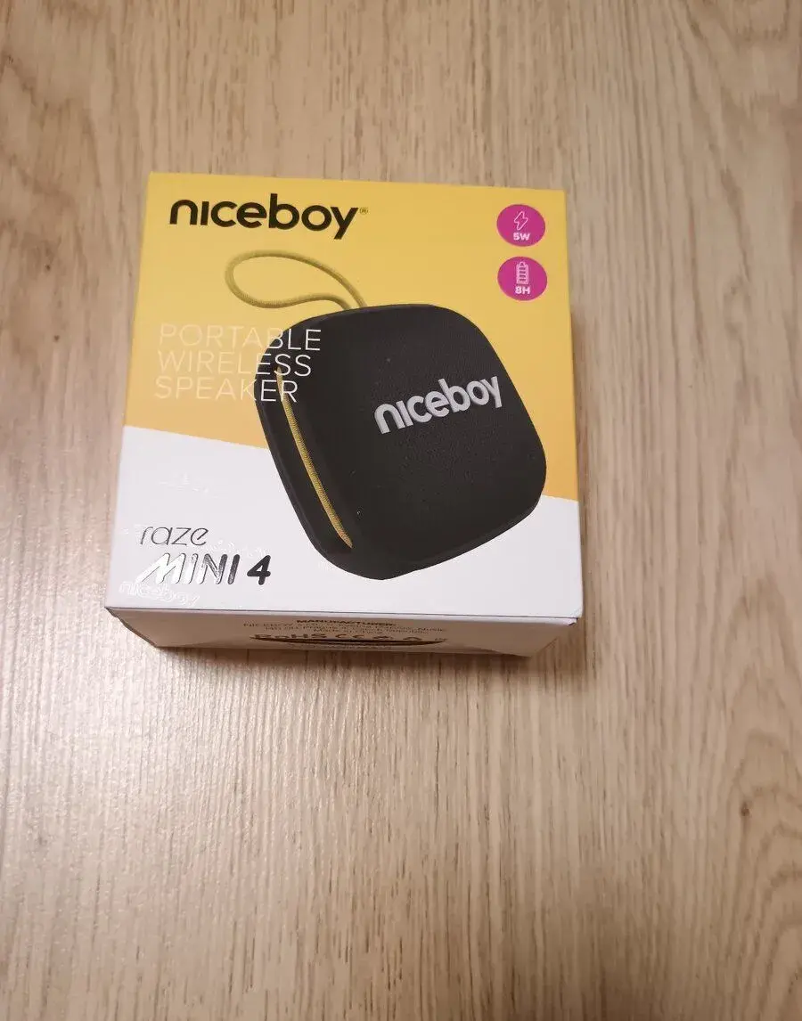 niceboy raze mini 4