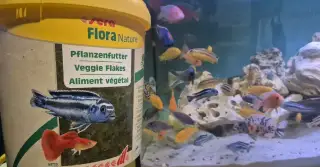 Sera Flora Nature+Sera Sun .AKCE
