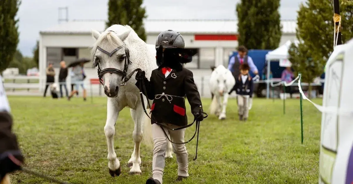 WMP klisna první pony
