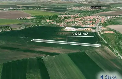 Pole 6 614 m², Podíl 25 % o výměře 1 654 m²