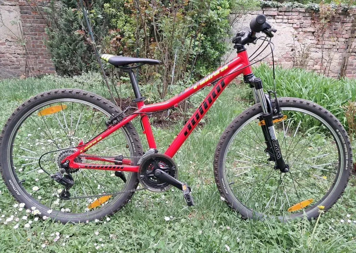 Kolo AUTHOR MATRIX 26'