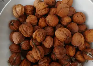 Vlašské ořechy