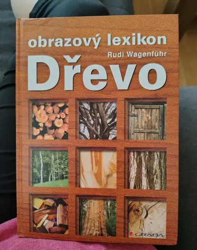 Dřevo