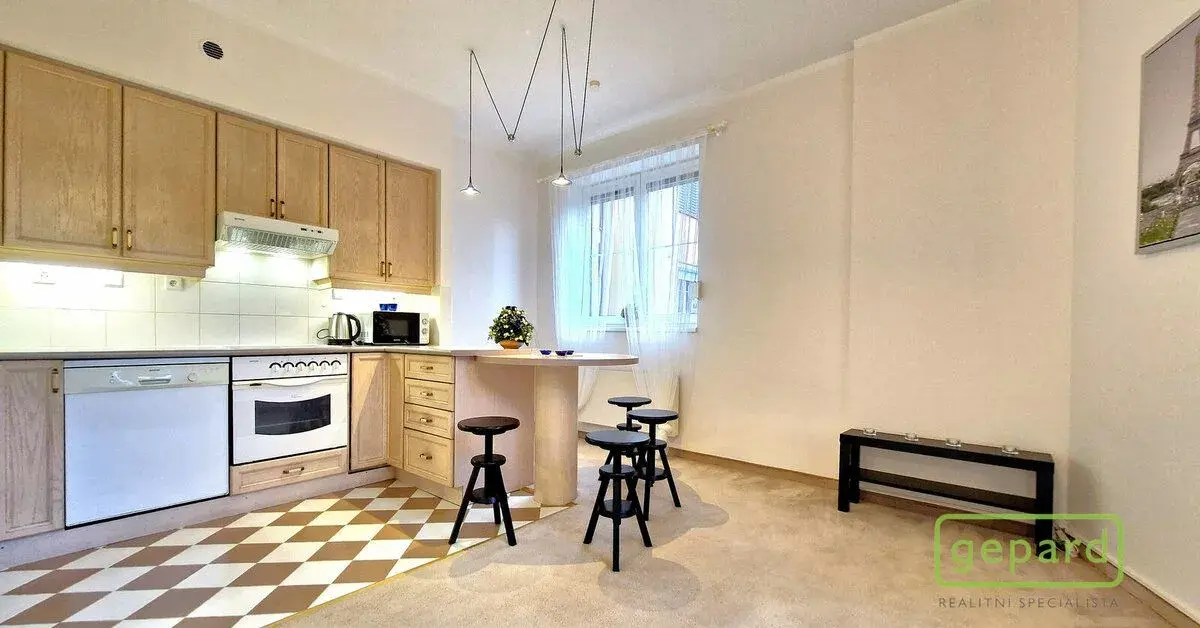 Pronájem zařízeného bytu 2+kk (46 m2) s předzahrádkou, celke