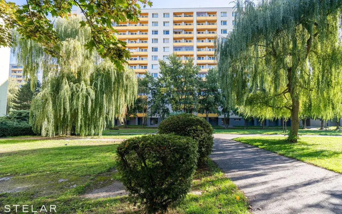 Prodej bytu 1+kk, Hradec Králové