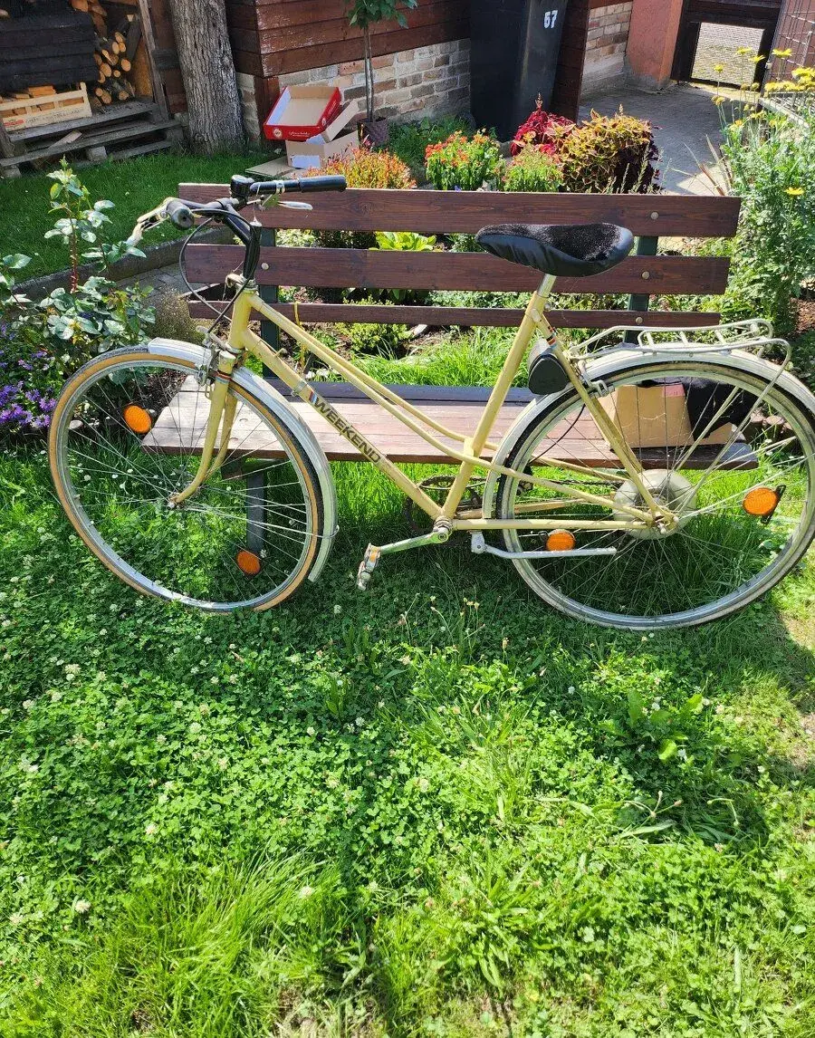 Retro kolo