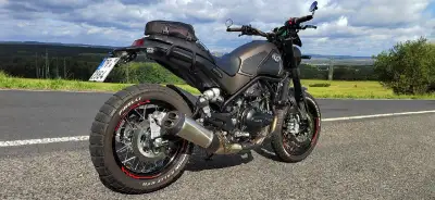 Benelli leoncino 500 Trail
