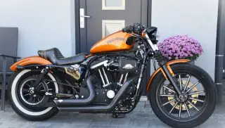 Harley Davidson XL 883 Iron