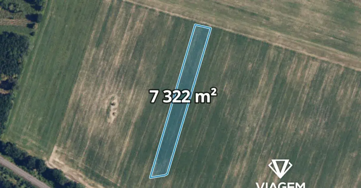 Pole 7 322 m², Podíl 33 % o výměře 2 441 m²